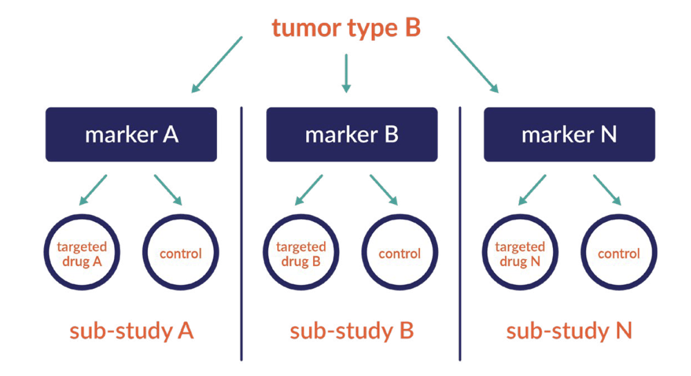 Master Protocol Studies – A Map to an Unknown Destination