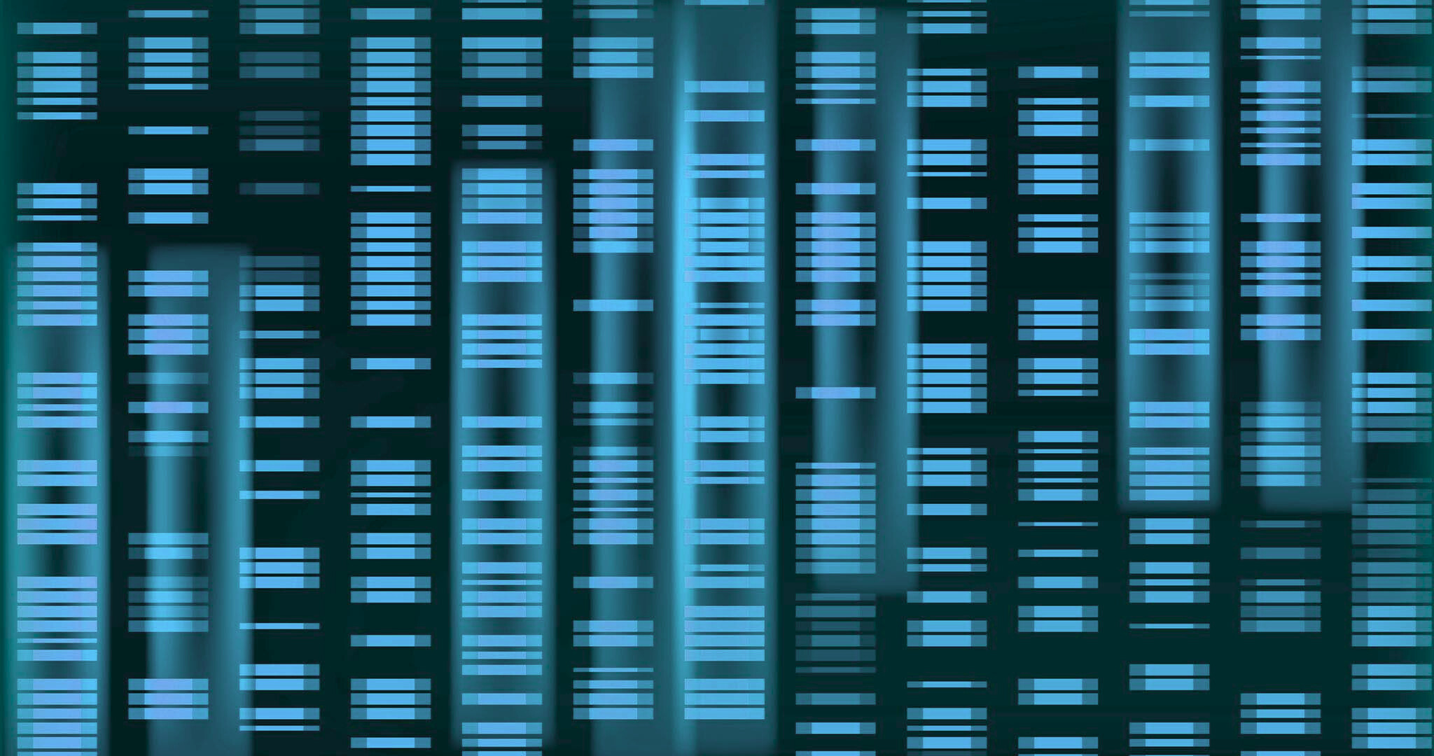 09f98d22-f21e-4e3b-ace3-f5093381bc68